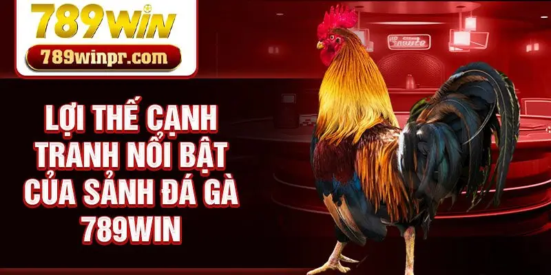 Lợi thế cạnh tranh nổi bật của sảnh đá gà 789win