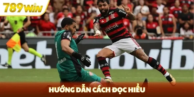 Hướng dẫn cách đọc hiểu